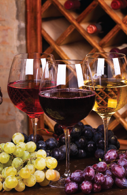 KHÁI NIỆM CƠ BẢN